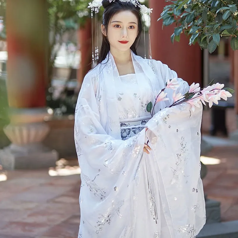 Artı Boyutu Han Elbise Dans Sahne Yetişkin Tang Takım Elbise Hanfu Kadınlar Ming Hanedanı Festivali Kıyafet Parti Peri Antik Hanfu Kostüm