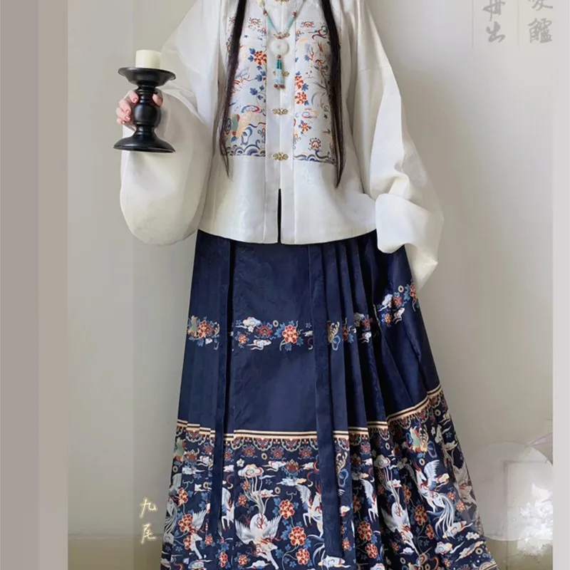 Orijinal Ming Yapımı Hanfu Elbise Kadın Jakarlı Kare Yaka Kısa Ceket Pipa Kollu At Yüz Etek Sonbahar Hanfu Kostüm