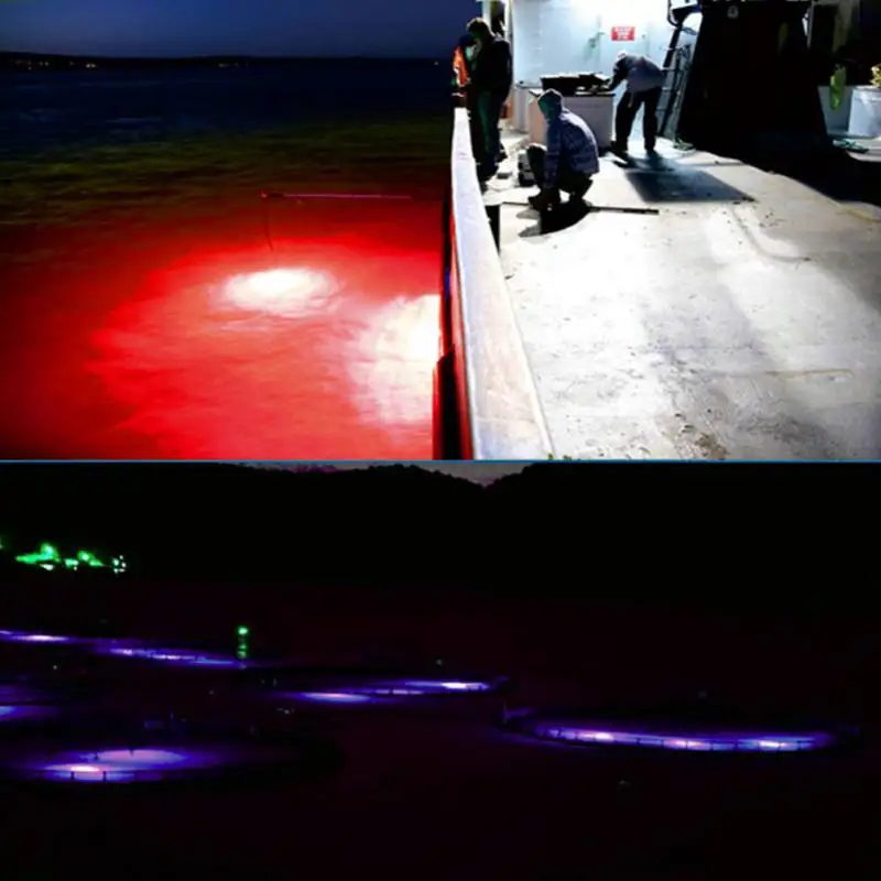Balıkçılık Lures LED Mini Derin deniz Balıkçılık cazibesi ışık balıkçılık Kalamar Yanıp Sönen lamba Su geçirmez sualtı ışığı mücadele