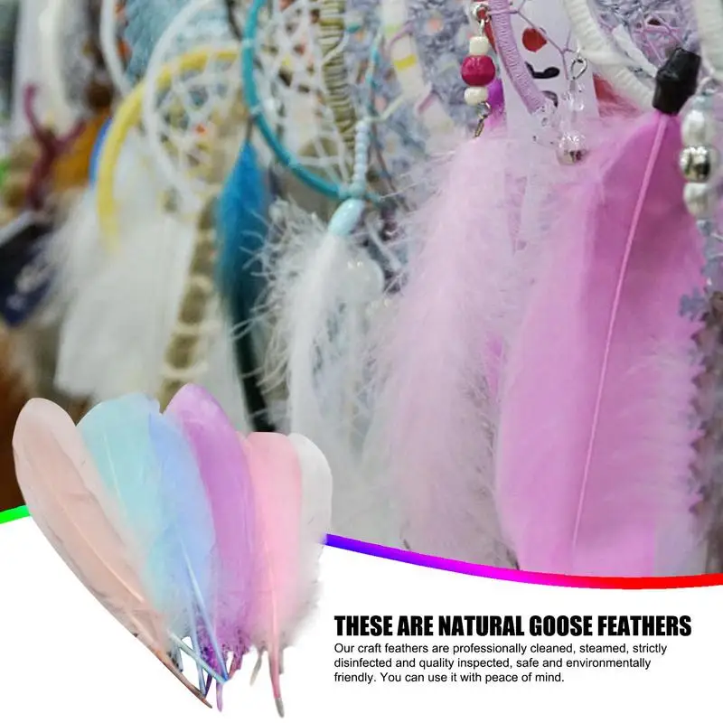 Zanaat Tüyleri Tüyleri DIY Zanaat Düğün 100 Adet Şapka Tüyleri Çeşitli Doğal Tüy Paketleri DIY Zanaat Rüya Yakalayıcılar