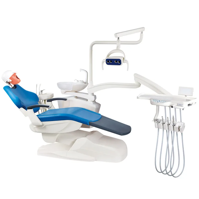 C3 Simülasyon Kafa Modeli Diş Phantom Insan Vücudu Kök Kanal Ortodontik Uygulama Ürün Öğrenciler İçin Eğitim Aparatı Araçları